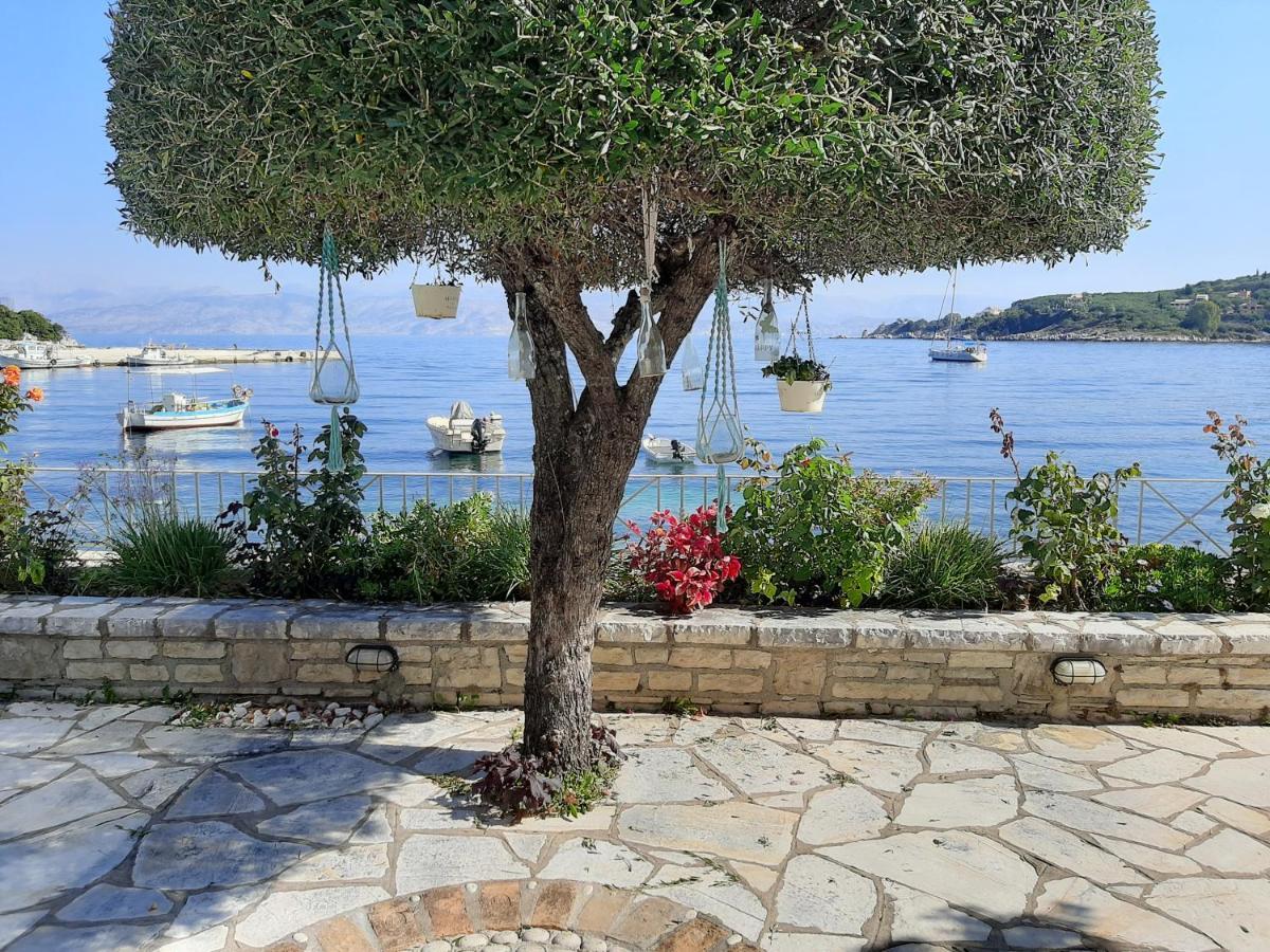 Imerolia Beach Villa Kassiopi Corfu エクステリア 写真
